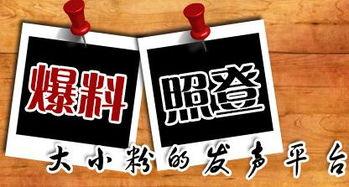 新闻大爆料绵阳,揭秘城市热点事件背后的真相