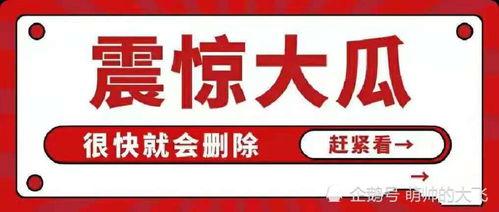 吃瓜八卦娱乐账号,吃瓜账号背后的那些事儿
